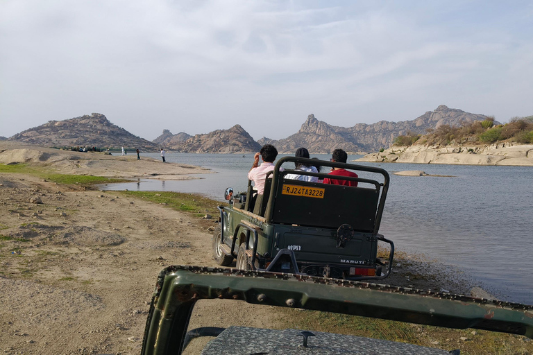 Jodhpur To Udaipur : Leopard Safari, Ranakpur & Kumbhalgarh
