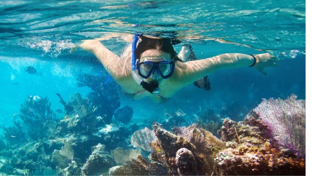 Visit Snorkeling in Aqaba Red Sea in Taba