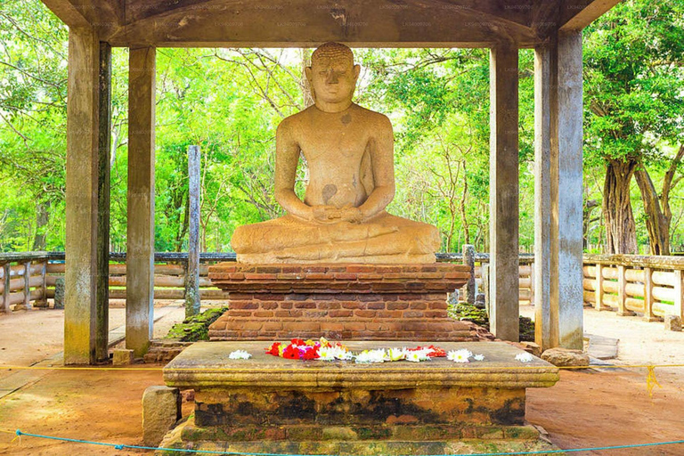 Sigiriya Dambulla Anuradhapura & Wilpattu safari 3-Day Tour Air Conditioned Van