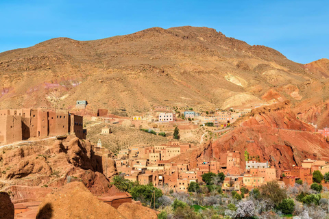 From Marrakech: 3-Day Sahara Desert Tour to Fes