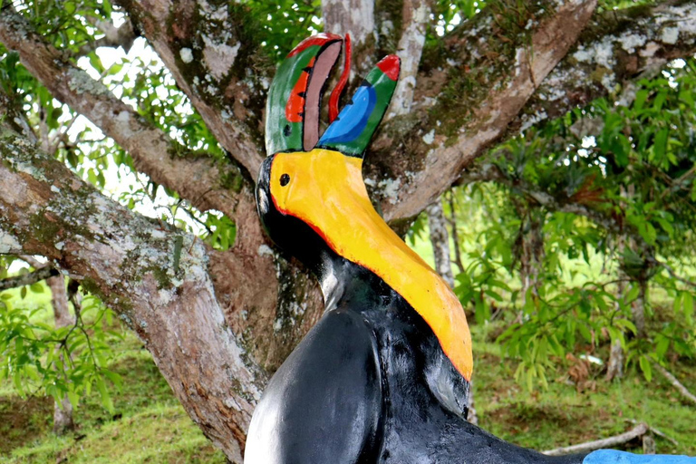 MEDELLÍN : JOUR DE SOLEIL LE CHARME DE COCORNÁ