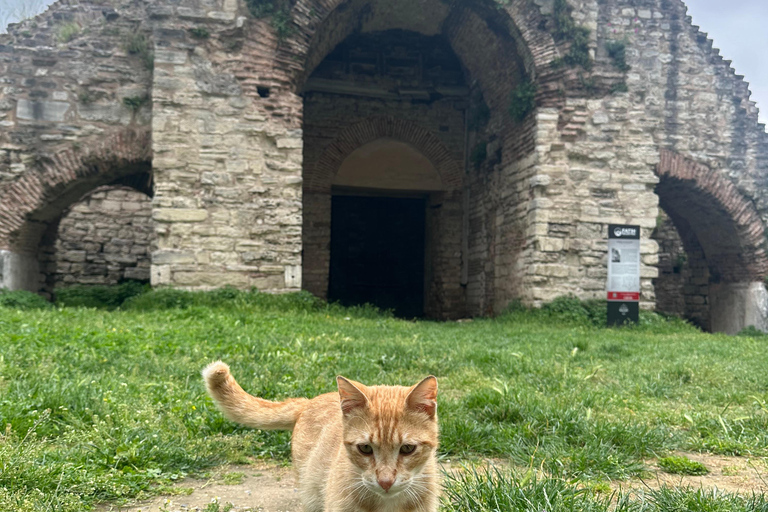 Tour delle Mura di Contantinopoli e del Palazzo Blachernea