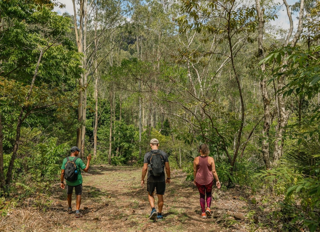 Mauritius: Black River Gorges National Park 3-timers vandretur