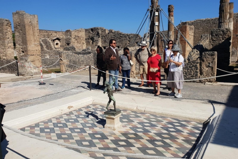 Desde Nápoles: tour privado de un día a Pompeya y el monte Vesubio