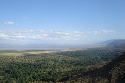 Lake Manyara Day TripPrivate Lake Manyara day trip