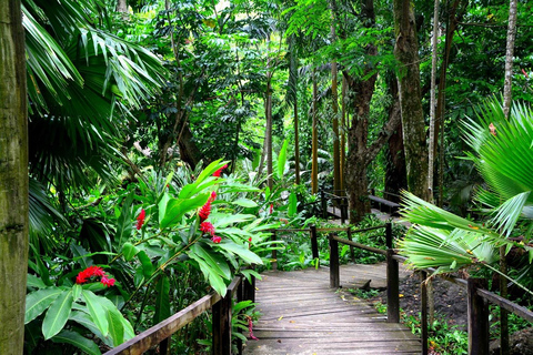 Fidżi: Odkryj Nadi dzięki wycieczce do gorących źródeł Sabeto i basenu błotnegoOdbiór z Fiji Marriott/Queens Wharf Lautoka/Tanoa Waterfront