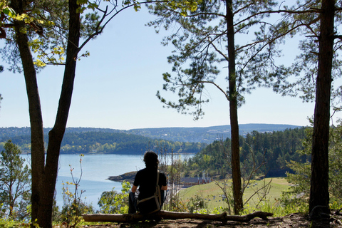 Oslofjord: Three Islands Cruise—Summer Culture & Sea Breeze