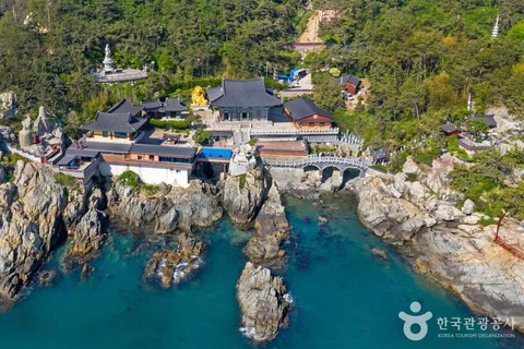 From Seoul: 6-Day South Korea Highlights Tour with Hotels