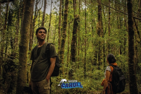 Tepuhueico Park: Stell dir Chiloé vor.Tepuhueico Park: Mach dich mit der Natur vertraut.