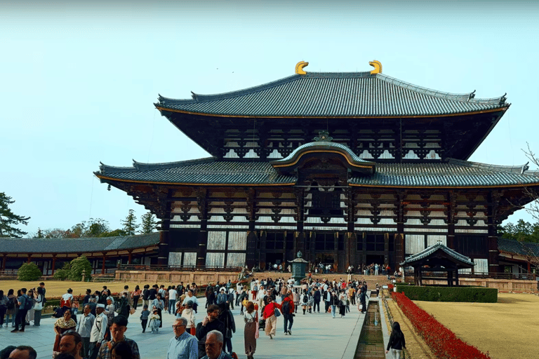 Depuis Osaka/Kyoto : Visite touristique de Kyoto et Nara en journée privée