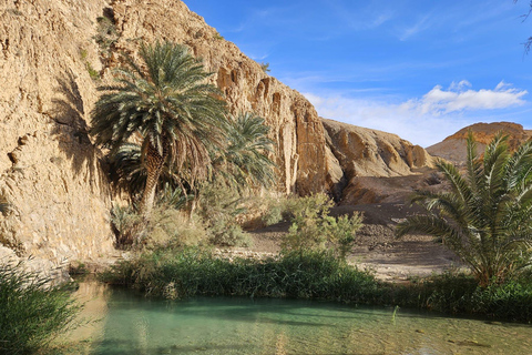 Patrimonio e orizzonti: i diversi paesaggi della Tunisia