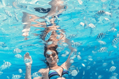 Clear Boat Tour from Isla Mujeres