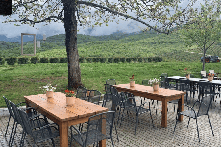 Saloniki: Naousa Wine Region Prywatna jednodniowa wycieczka