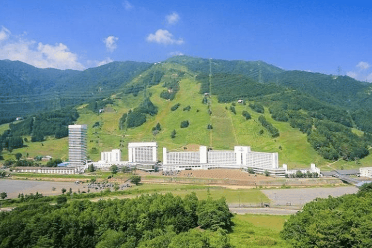 From Tokyo: Nagaoka Fireworks Festival & Naeba Hotel Trip Twin Room (2-Person Room)