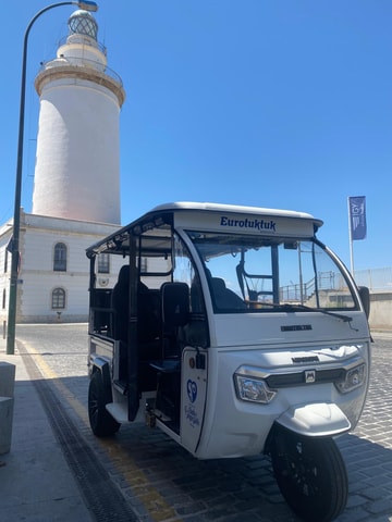Malaga: Christmas Night Tour and Lights with Tuk Tuk