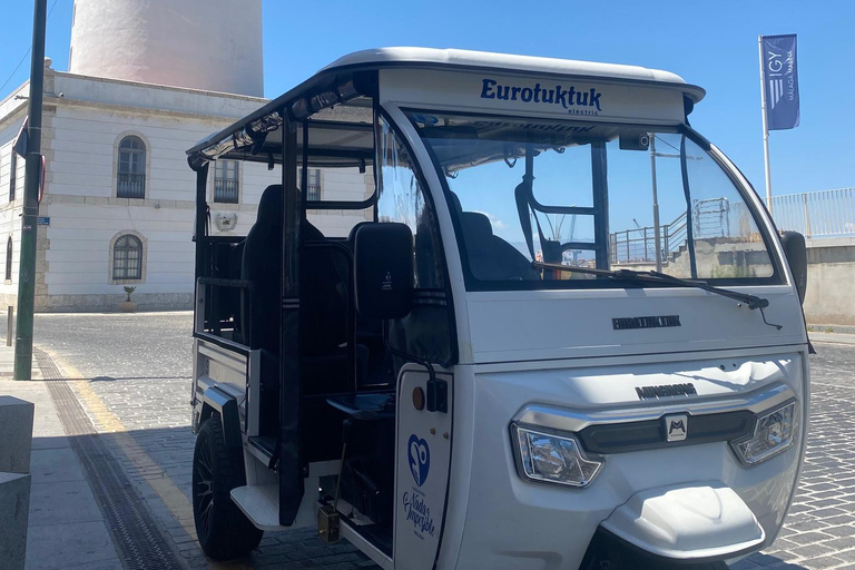 马拉加：圣诞夜之旅和嘟嘟车灯光之旅