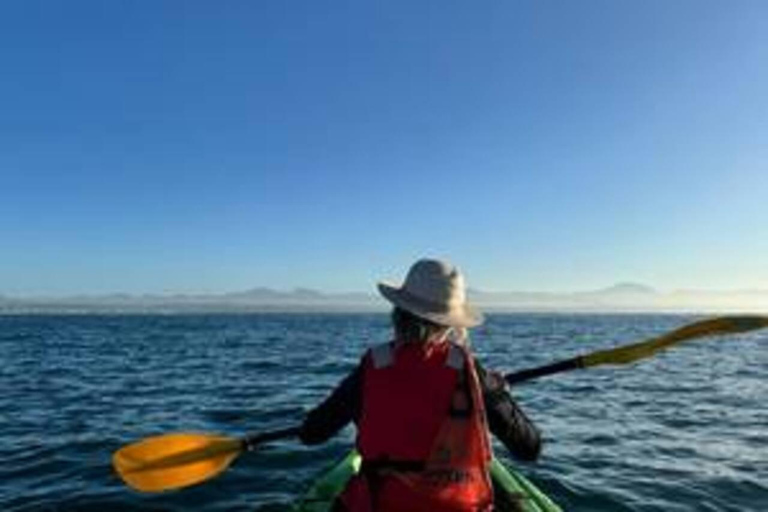 Cape Town: Granger Bay Guided Kayak Tour Cape Town : Kayak Adventures Granger Bay