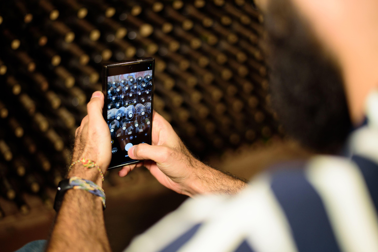 Mt. Ararat: Wine Tasting & Dinner at Tushpa Winery