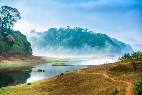 Circuit exclusif Periyar Wildlife avec bain d&#039;éléphant (03 jours)