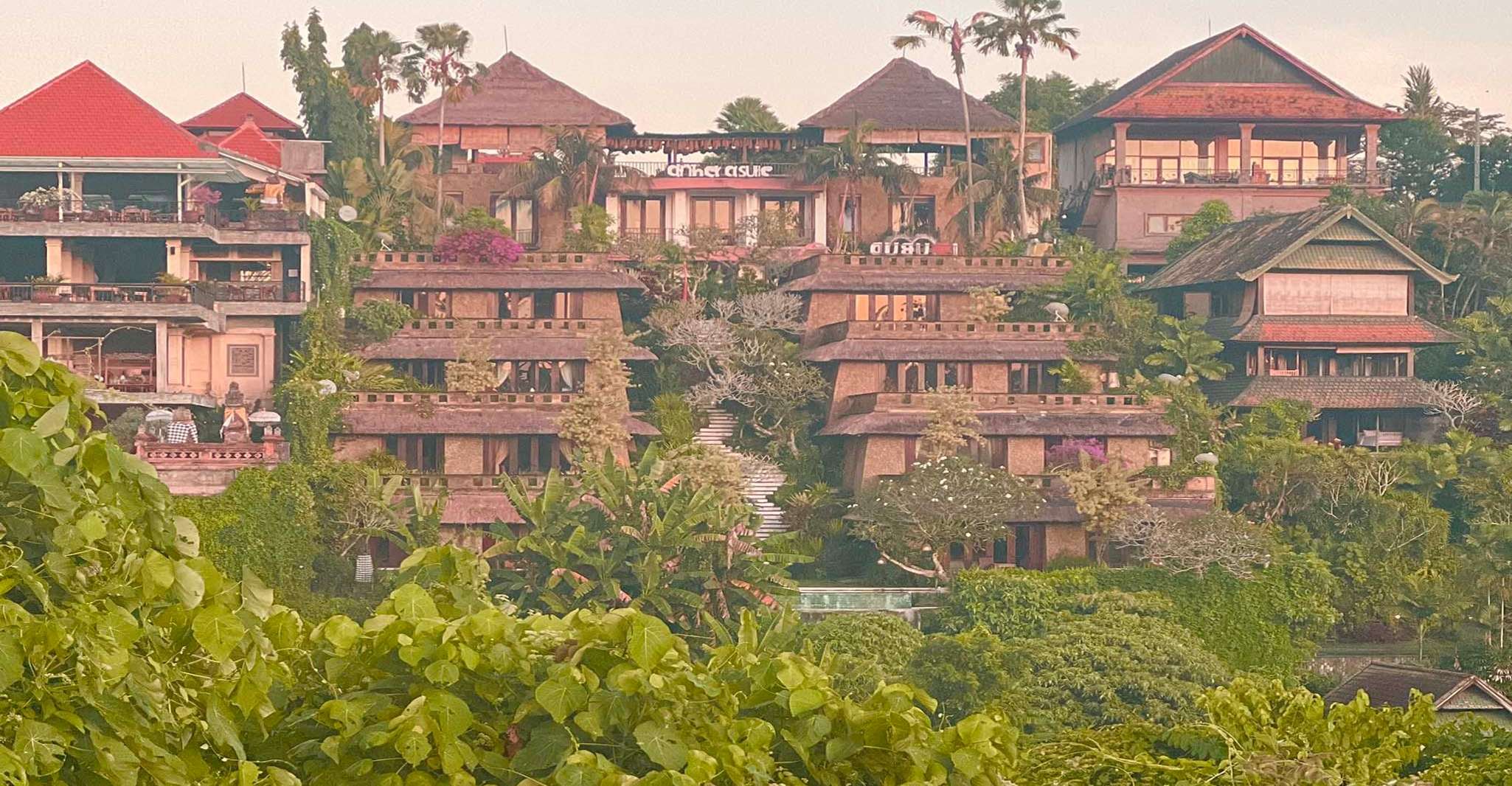 Passeggiata Campuhan Ridge di Ubud, un tour audio autoguidato - Hizvo