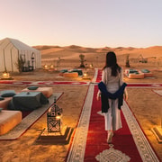 3 Day Desert Tour Royal Tent Quad Camel and Sand