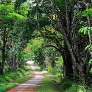 From Ninh Binh: Cuc Phuong, Tam Chuc, Jungle trek & Kayaking From Ninh Binh: Cuc Phuong, Tam Chuc, Jungle trek & Kayaking