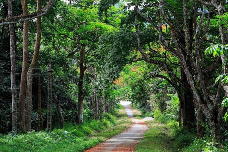 Hanoi: Van Long Wetland, Bear Sanctuary, Cuc Phuong Tour