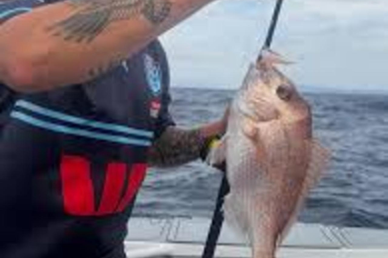 Kotor: Fishing Experience with 100% guaranteed catch