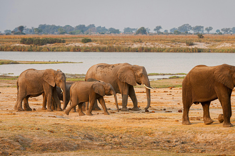 Katima Mulilo: Guided Chobe National Park Day Safari