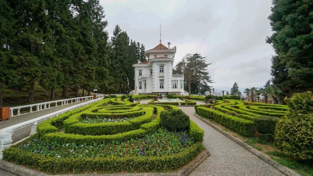 Visit Trabzon Atatürk Mansion, Ayasofya Mosque, Private Tour in Tonghua