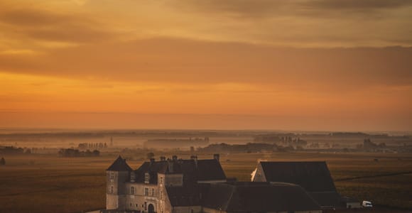 Private Weintour in Côte de Nuits und Côte de Beaune