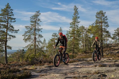 Rovaniemi: Tour mit Elektro-Fatbikes