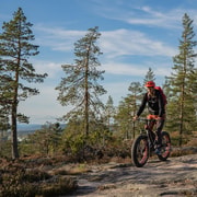 Rovaniemi: Tour en bicicleta eléctrica Fatbike