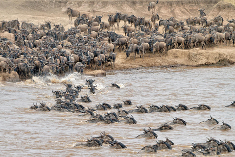 The Wildebeest Migration Safari-Massai Mara