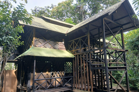 3-Day Amazon Expedition: Jungle, River & Wildlife Tour