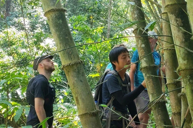 Authentic trek only walk in Chiang Rai jungle Authentic trek only walk in ChiangvRaiv jungle