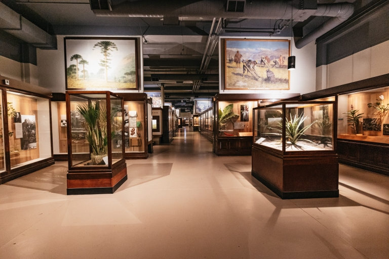 Chicago: entrada o tour VIP Museo Field de Historia NaturalPase para el museo Discovery