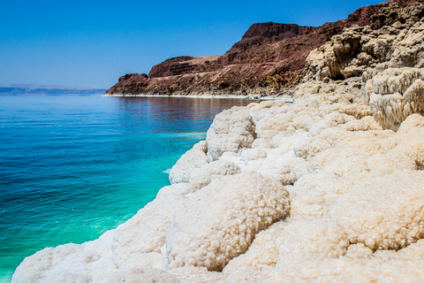 Da Aqaba: Escursione privata di un giorno sul Mar Morto con pranzo