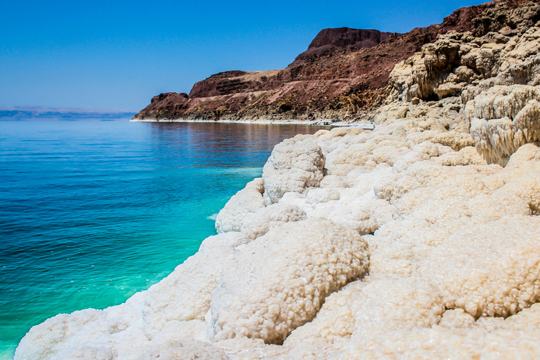 From Aqaba: Dead Sea Private Day Trip with Lunch