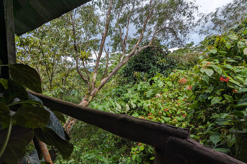 Panamá; San Blas Dos días en la selva todo incluido