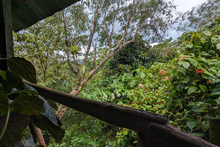 Panamá; San Blas Dos días en la selva todo incluido