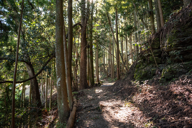 Yoshino, Nara: Cherry Blossom Hiking Tour With Temple Visit