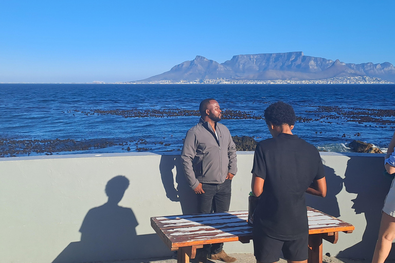 From Cape Town: Robben Island Ferry and Museum Tour