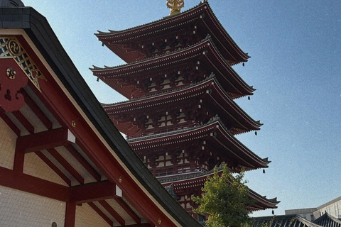 Kyoto und Nara: private Tour mit englischsprachigem Guide