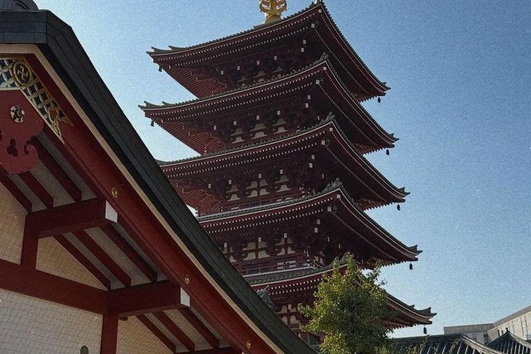 Kyoto und Nara: private Tour mit englischsprachigem Guide