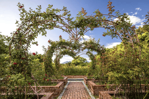 阳明山和北投地热奇观一日游