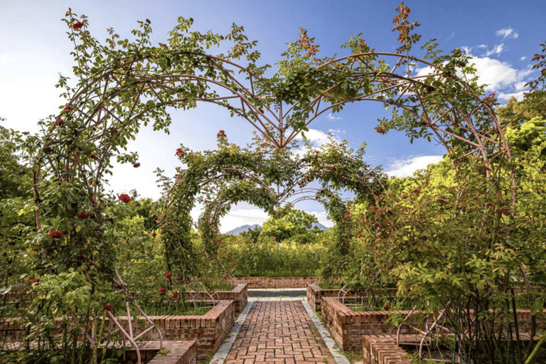 阳明山和北投地热奇观一日游