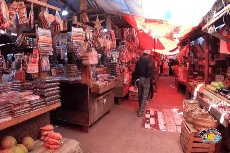 Pemba: Privétour met gidsZanzibar: Salaam Cave Aquarium en Stone Town wandeltour