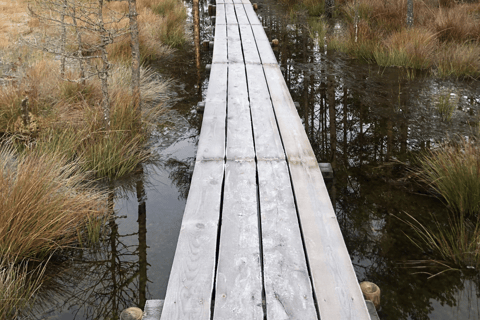 The Estonian Day Retreat at Lahemaa National Park