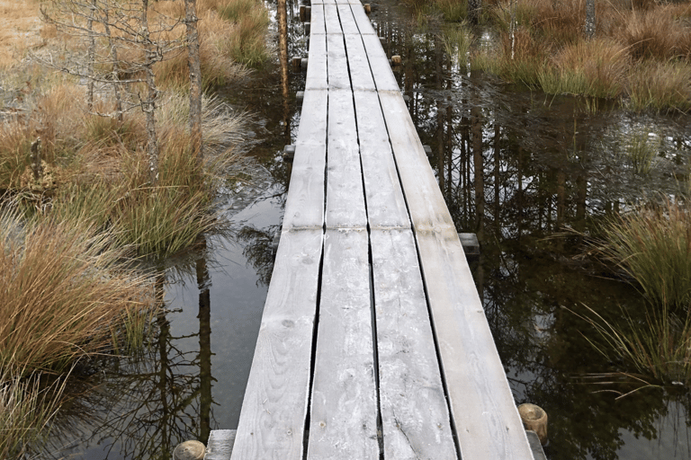 The Estonian Day Retreat at Lahemaa National Park